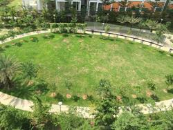 A Treasure Trove (D19), Condominium #98976062